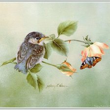 Схема вышивки «№1219326»