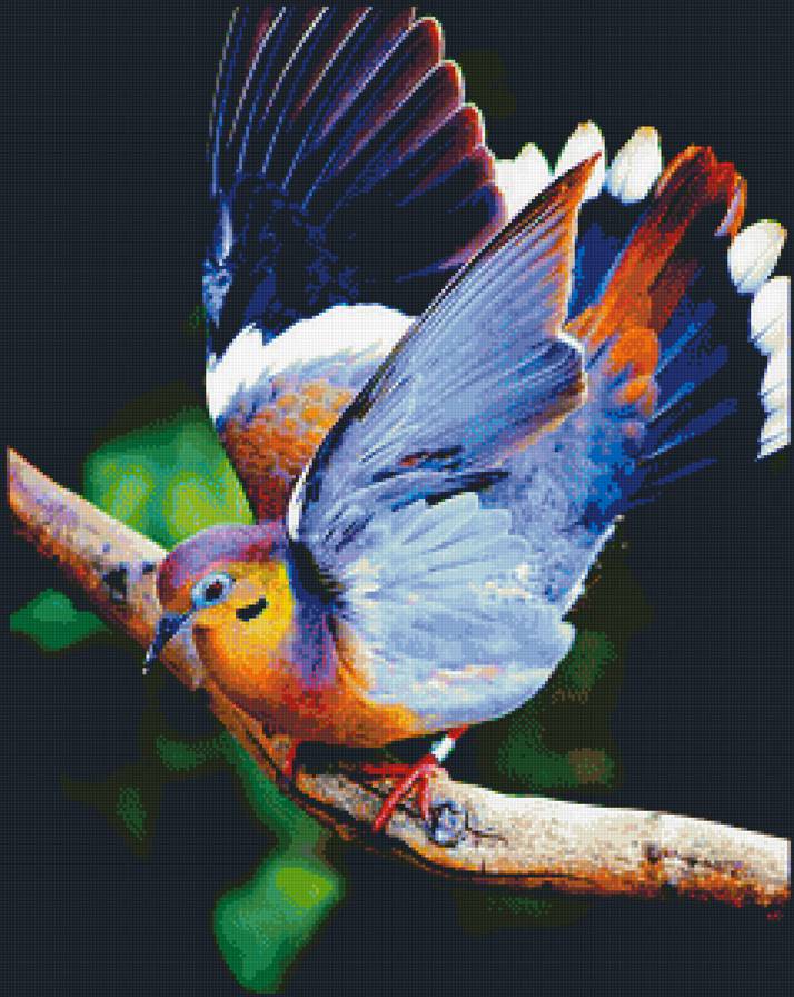 №1219360 - птицы - предпросмотр