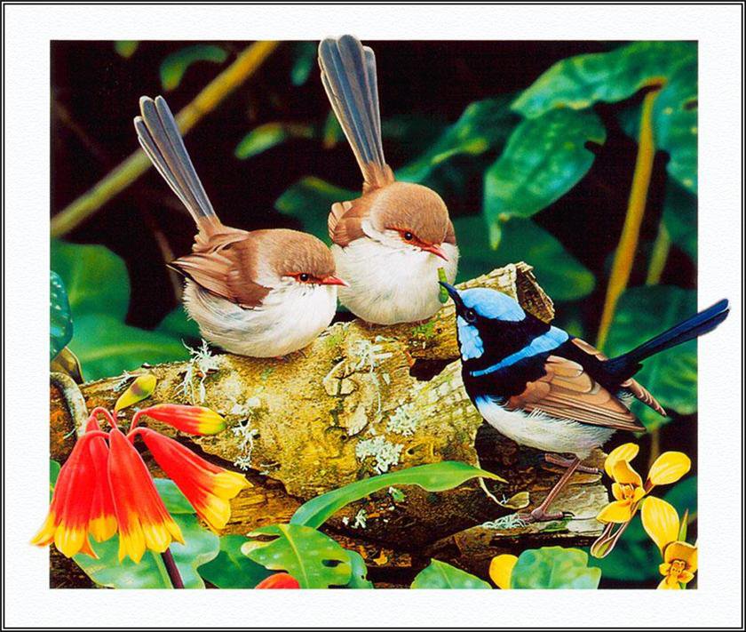 №1219373 - птицы - оригинал