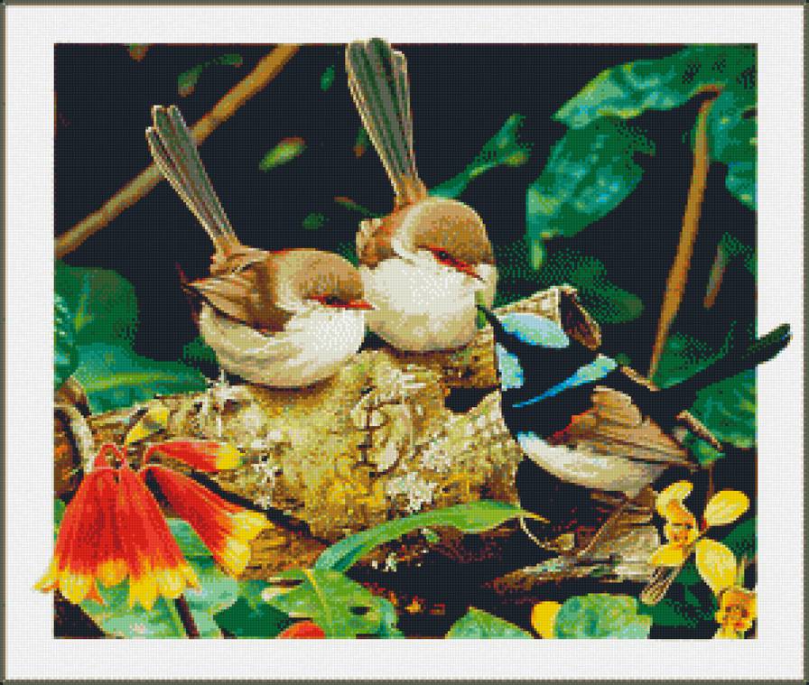 №1219373 - птицы - предпросмотр