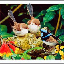 Схема вышивки «№1219373»