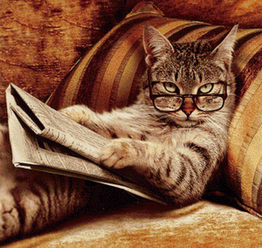Кошка с газетой - отдых, кошка - предпросмотр