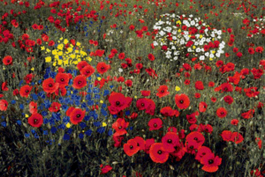 цветы - цветы - предпросмотр