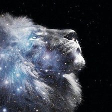 Схема вышивки «Созвездие Льва»