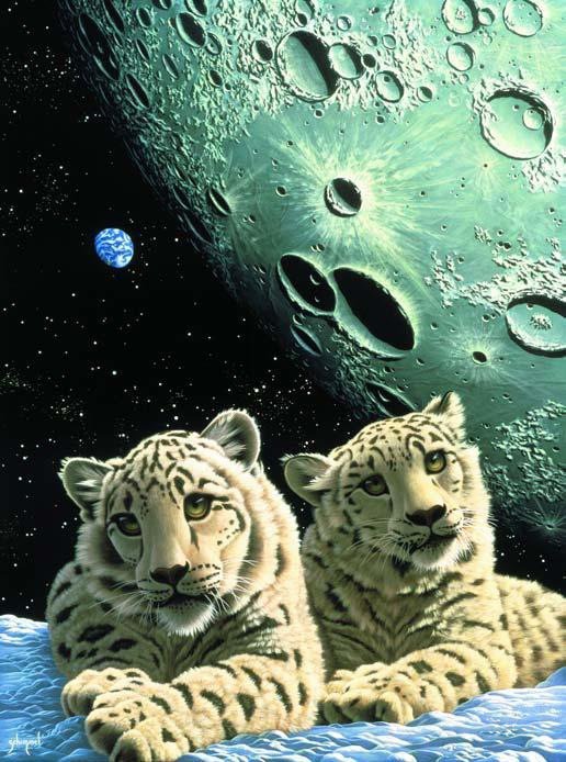 На краю Вселенной - оригинал