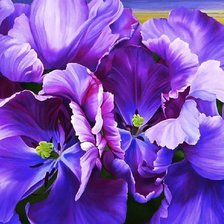 Схема вышивки «Тюльпаны»