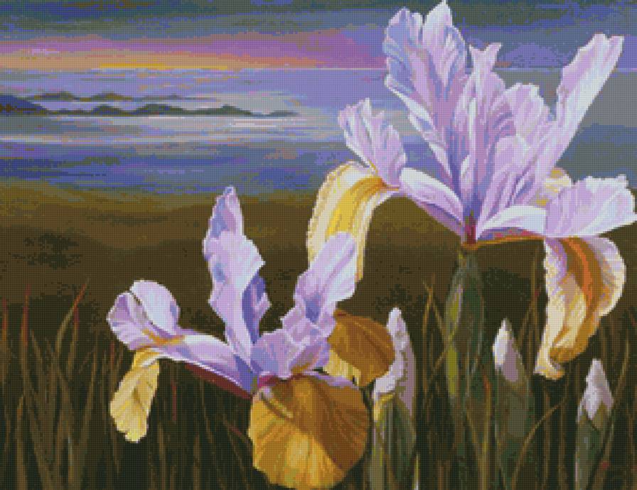 ирисы - пейзаж, ирисы, цветы - предпросмотр