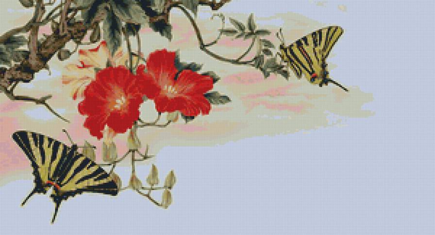 гибискус - цветы, насекомые, бабочка, гибискус - предпросмотр