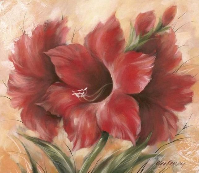 амариллис - амариллис, красный цветок, цветы - оригинал