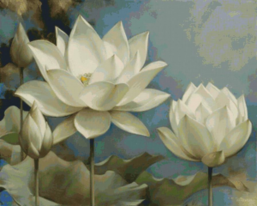 Лотосы - пейзаж, лотосы, флора, цветы - предпросмотр