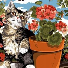 Кот и бабочка_А