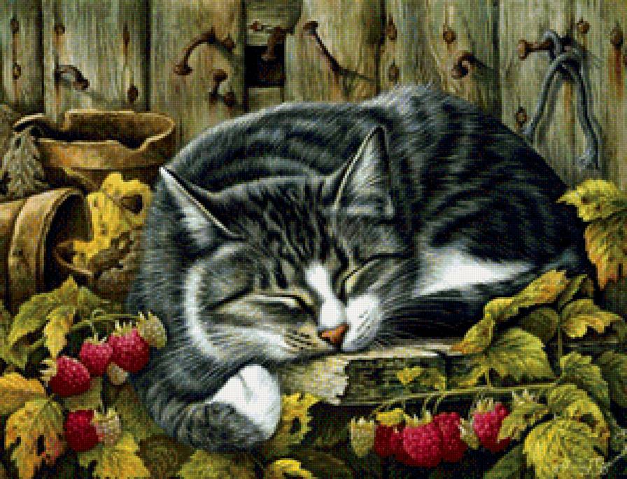 котик - предпросмотр