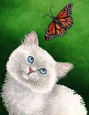 Котенок с бабочкой - котенок, животные, бабочка, коты, кот - оригинал