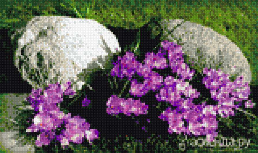 крокусы у камней - цветы, крокусы, камни, весна - предпросмотр