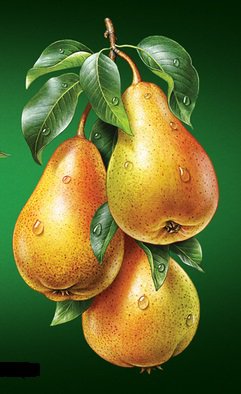 Груши - фрукты - оригинал