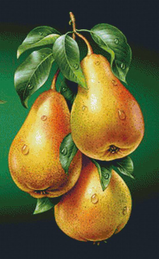 Груши - фрукты - предпросмотр