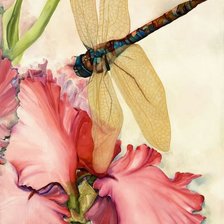 Схема вышивки «ирис и стрекоза»