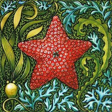 Оригинал схемы вышивки «морская звезда» (№1220746)