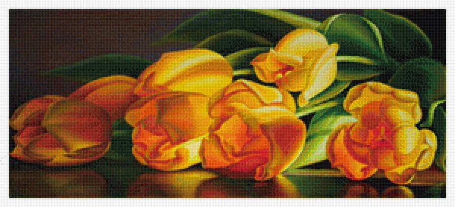 желтые тюльпаны - предпросмотр