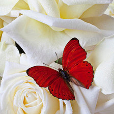 Схема вышивки «№1220856»