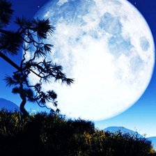 Схема вышивки «полная луна»