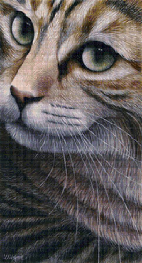 кошачий портрет - предпросмотр