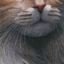 Схема вышивки «кошачий портрет»