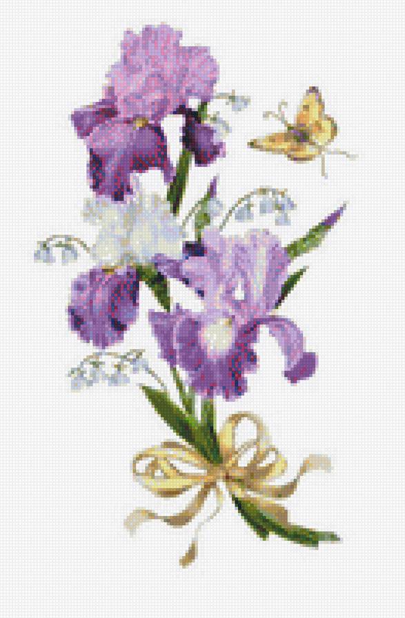 ирисы - предпросмотр