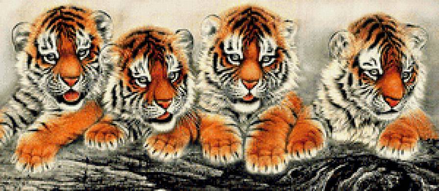 Четыре тигренка - животные - предпросмотр