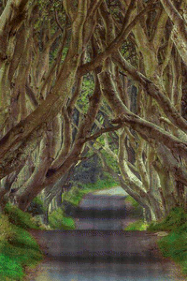 Дорога - дорога, деревья - предпросмотр