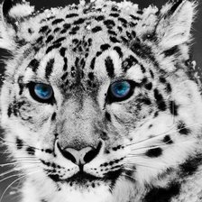 Схема вышивки «№1221512»