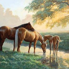 лошади на водопое