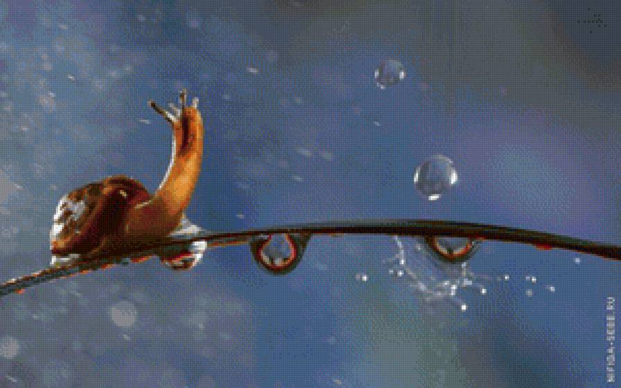 Улитка под дождем - предпросмотр