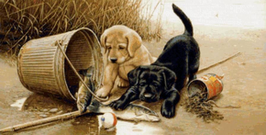 Удачный улов получился! - предпросмотр