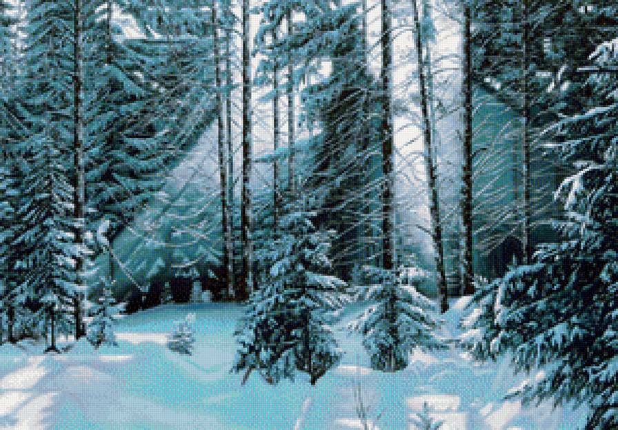 Зима в лесу - зима, лес, снег, ели - предпросмотр