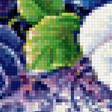 Предпросмотр схемы вышивки «Натюрморт с абрикосами» (№1222505)