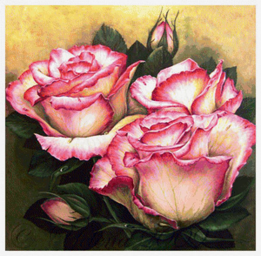 Розы - предпросмотр