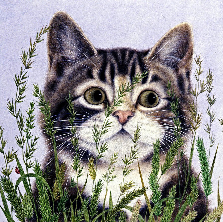 Домашние любимцы - котенок - оригинал