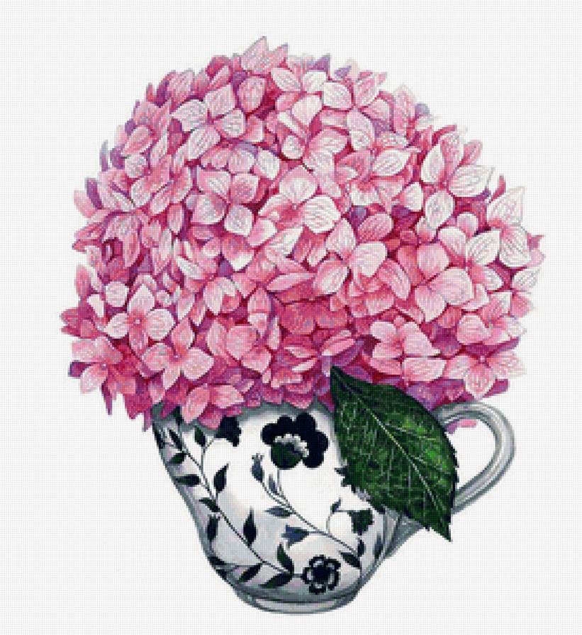 Гортензия - гортензия, натюрморт, цветы - предпросмотр