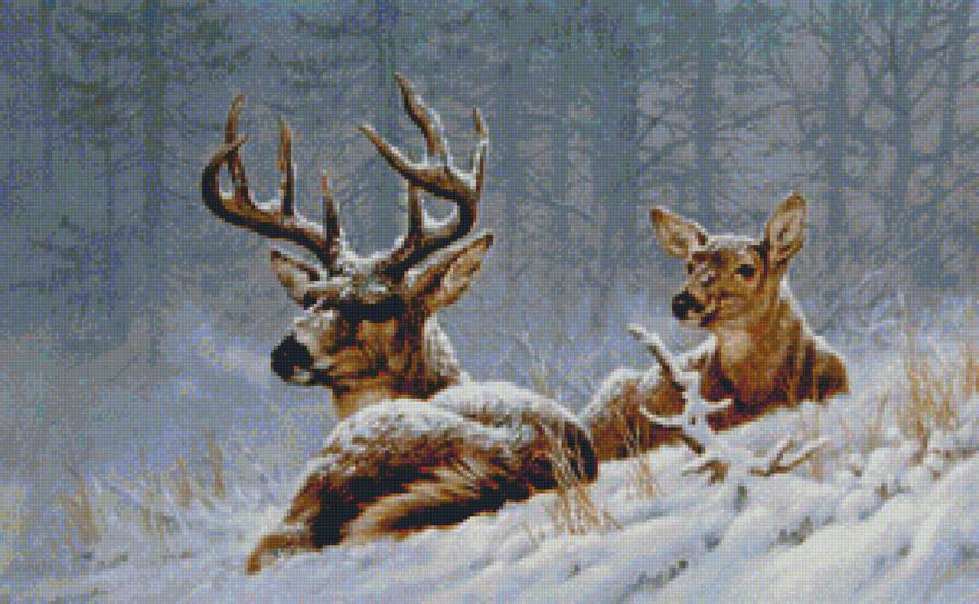 ЛАНИ И ОЛЕНЬ - природа, животные, лес, зима, снег, лани и олень - предпросмотр