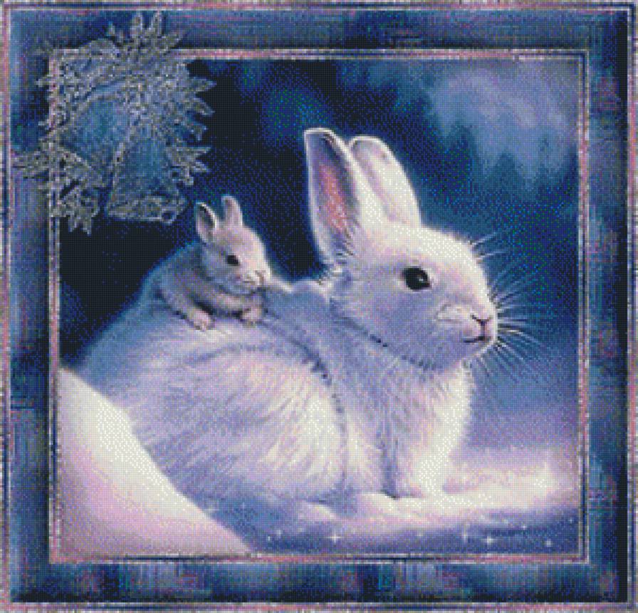 БЕЛЫЙ КРОЛИК - природа, белый кролик, животные - предпросмотр