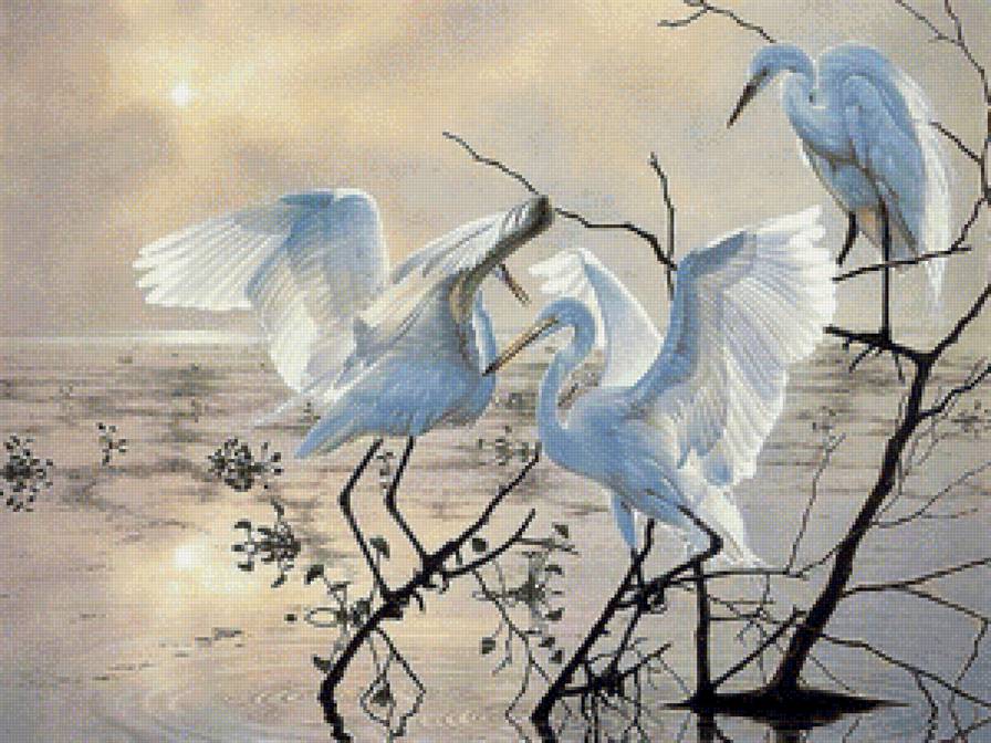 Худ. Бен Массенбург - природа, экзотика, птицы, вода - предпросмотр