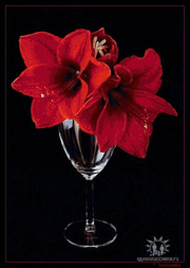 цветок в бокале - предпросмотр