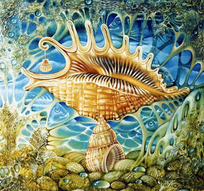 морские ракушки - оригинал