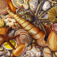 Схема вышивки «морские ракушки»