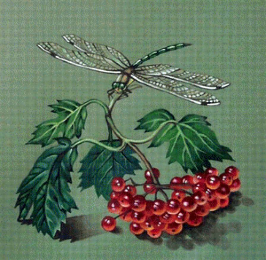 стрекоза - стрекоза, ягоды - предпросмотр