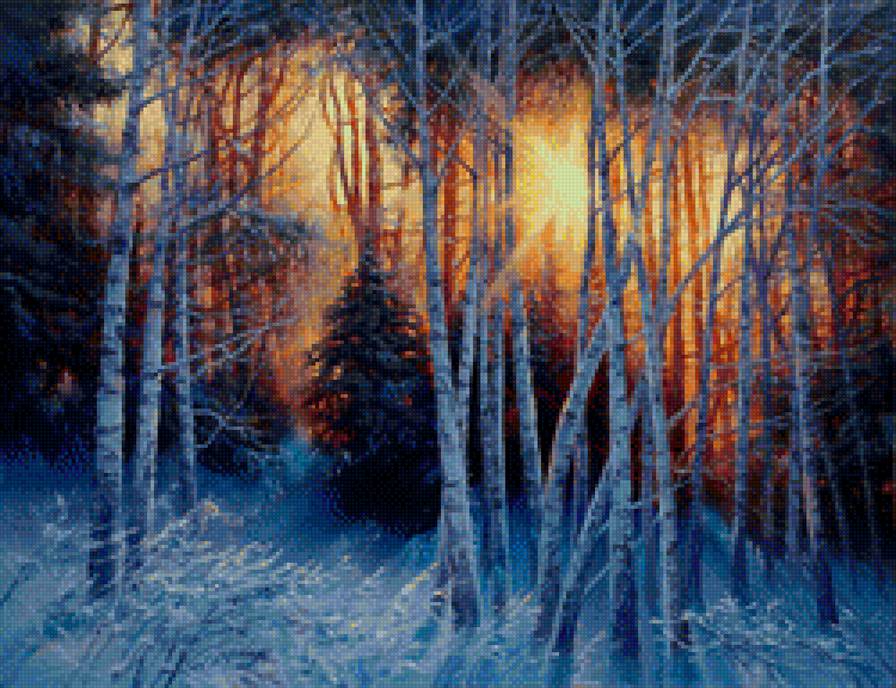 Зимний пожар - березы, закат, солнце, зима, лес, снег - предпросмотр