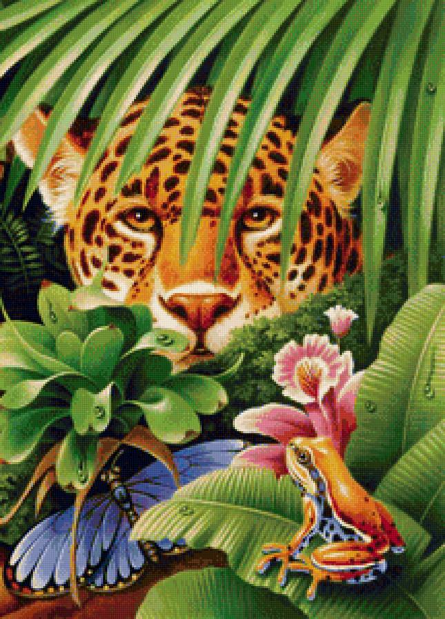 Серия "Фауна" - пальма, лягушка, джунгли, леопард, бабочка - предпросмотр