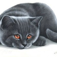 Схема вышивки «Кот»