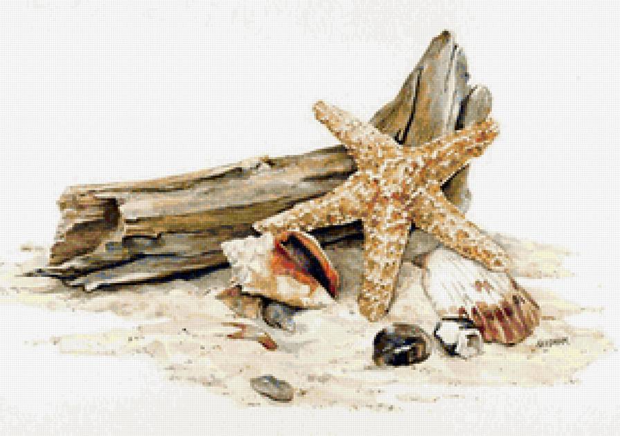 морской натюрморт - песок, морской, ракушки, натюрморт - предпросмотр